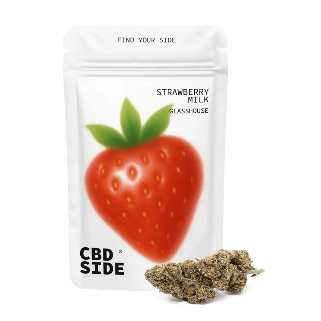 strawberry milk cbd greenhouse
