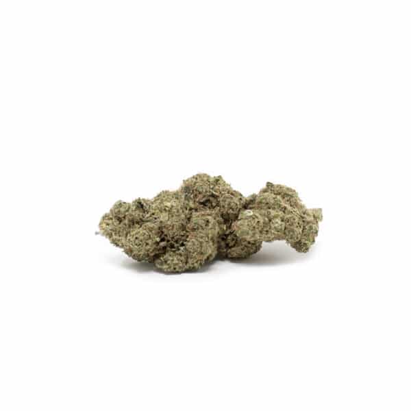 blue dream cogollo