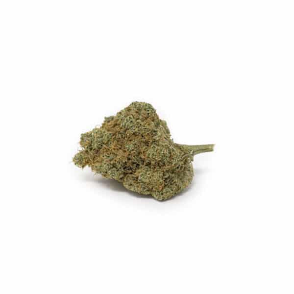 gorilla glue cogollo