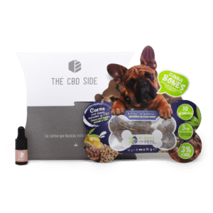 CBD MASCOTAS