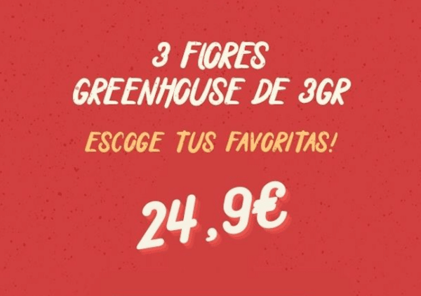 Día del Padre - Pack Flores CBD