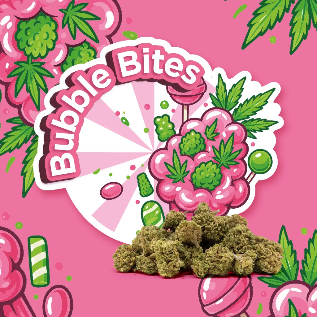bubble bites small buds CBD