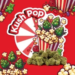 kush pop small buds