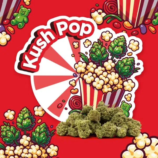 kush pop small buds