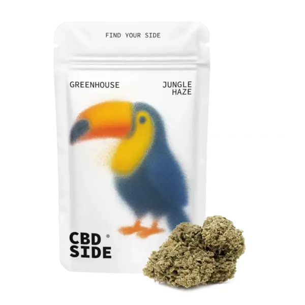 jungle haze cbd greenhouse