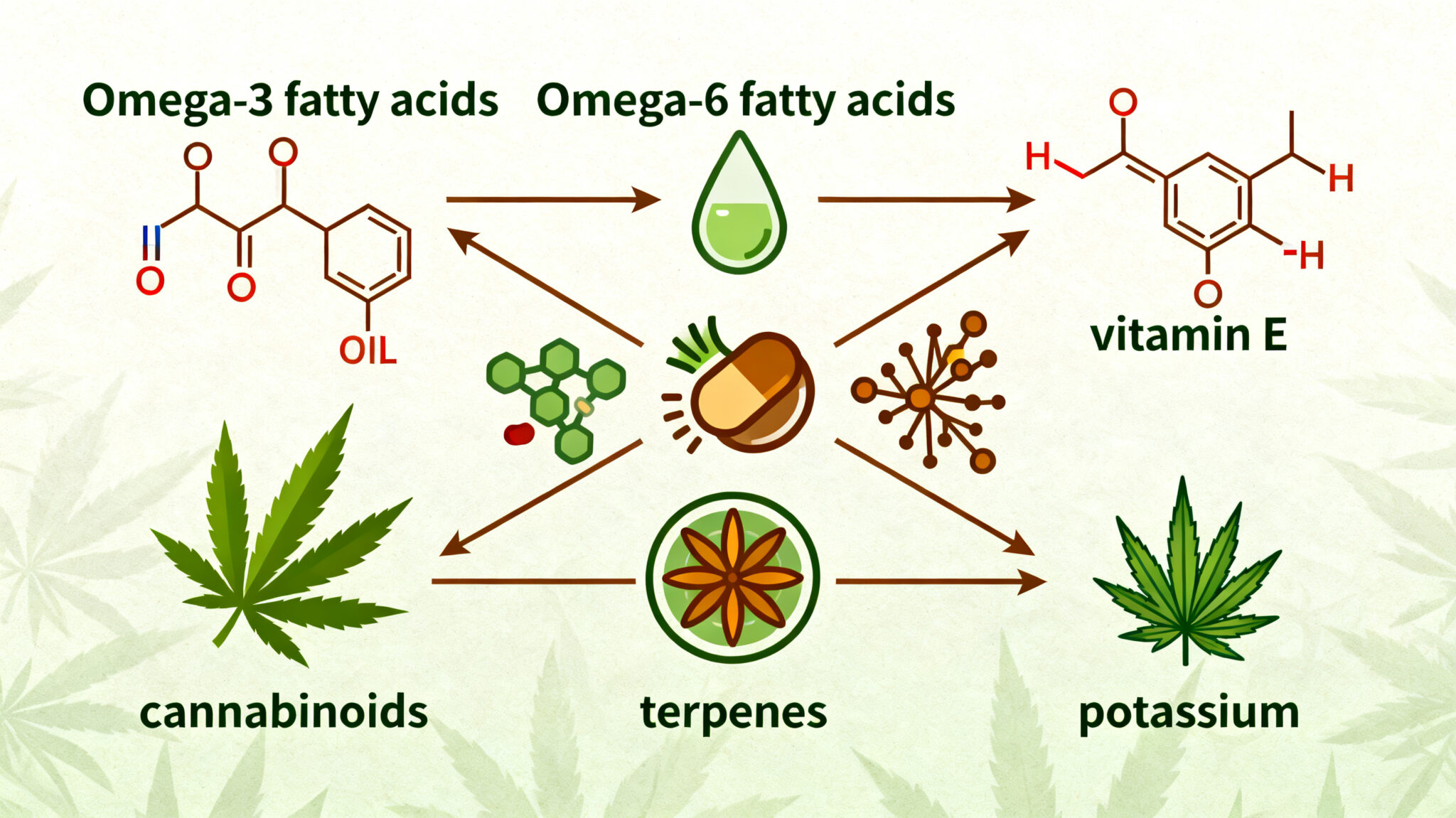 Aceite CBD con Base de Cáñamo